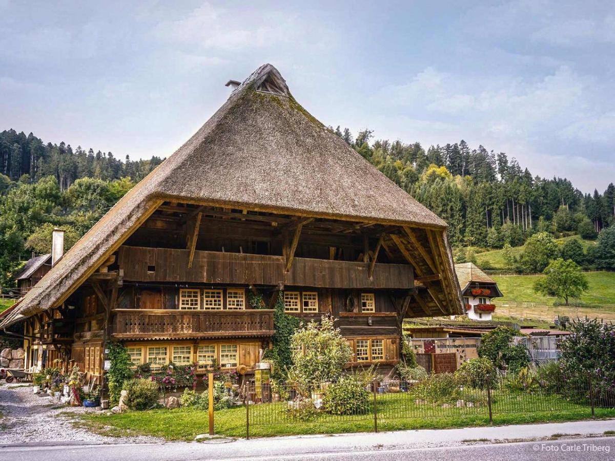 Отель Gaestehaus Ursula Хорнберг Экстерьер фото