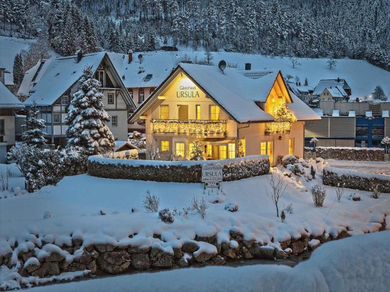 Отель Gaestehaus Ursula Хорнберг Экстерьер фото